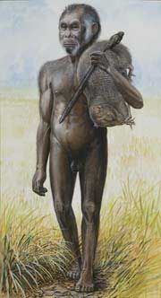 H. floresiensis reconstrucción