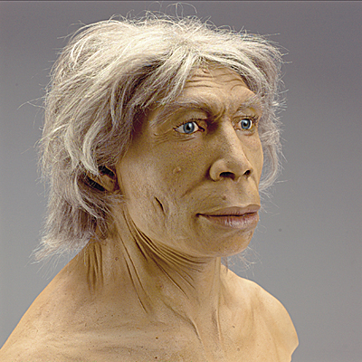 Resultado de imagen para homo neanderthalensis