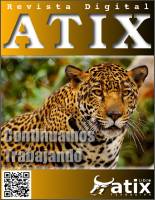 Revista Atix - nº 22 - 2013-07