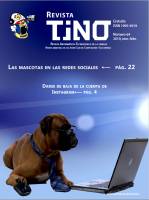 Revista Tino - nº 64 - 2019-02