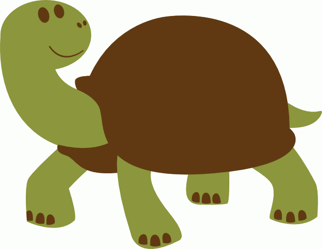 Tortuga