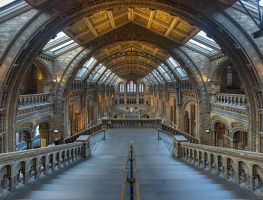 Natural History Museum