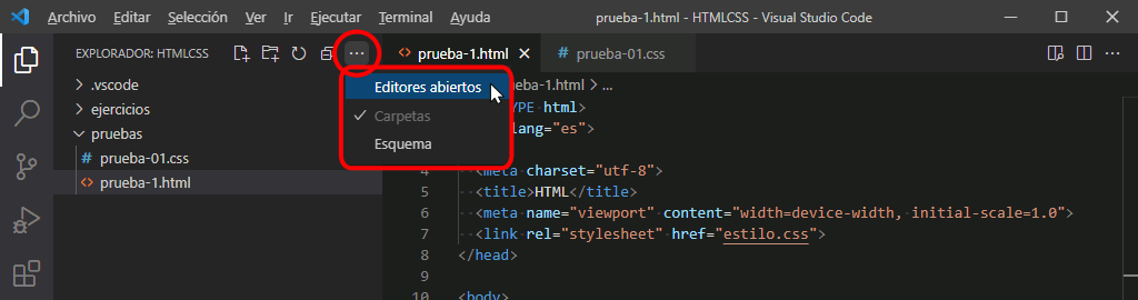 Visual Studio Code. Apartados del Explorador en la barra de actividades