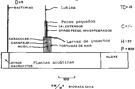 Ejercicio A - Pregunta 2