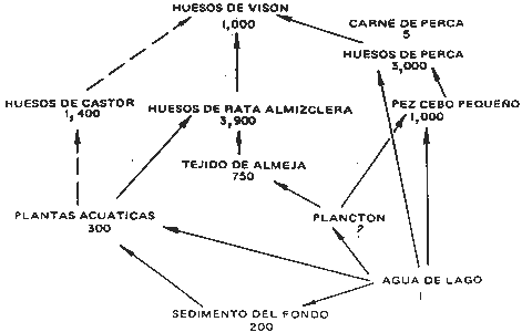 Ejercicio A Pregunta 2