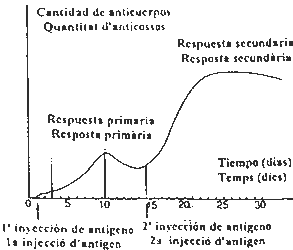 Pregunta 3. La immunitat Pregunta 3. La immunitat