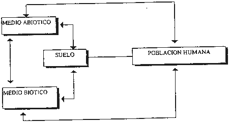 Ejercicio B. Pregunta 1