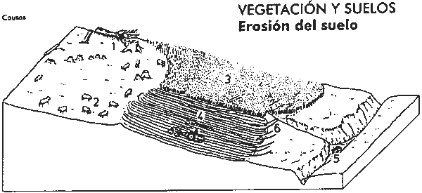 Ejercicio 2. Documento 2