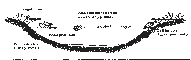 Ejercicio A. Pregunta 3