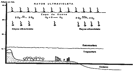 Fes clic a l'imatge per veure la imatge amb més detall