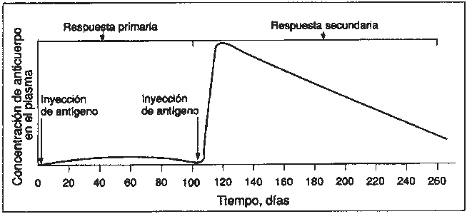 Bloque 4. Opción B