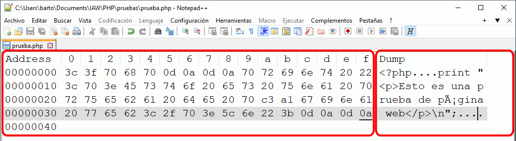 Notepad++ HEX-Editor