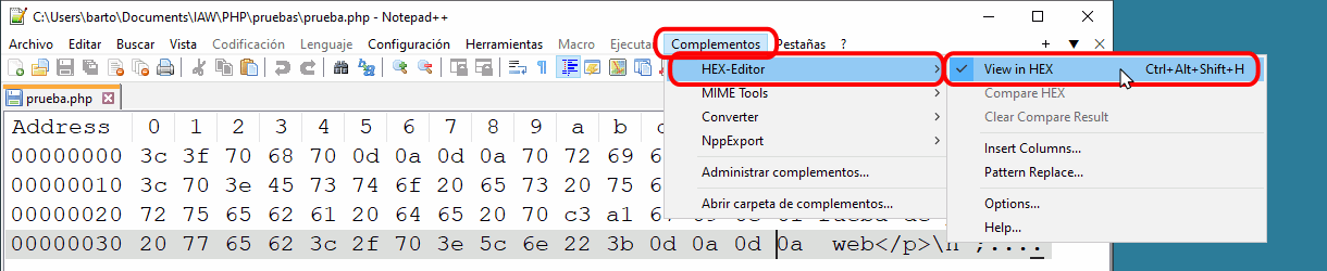 Notepad++ HEX-Editor