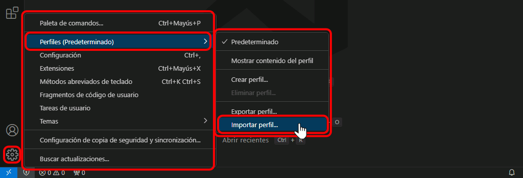 VSC. Importar perfil recomendado