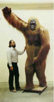 Gigantopithecus 2