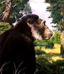 Sivapithecus reconstrucción