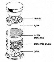 El biotopo del suelo